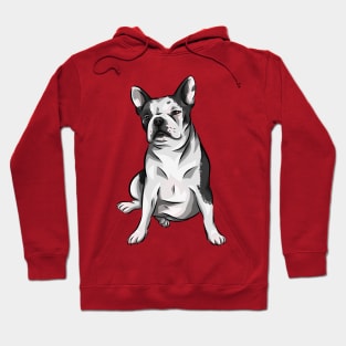 Cute French Bully! | French Bulldog Hoodie